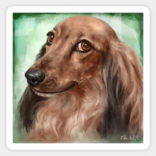 Painting of a Fluffy Dachshund with Brown Coat, on Green Background Sticker